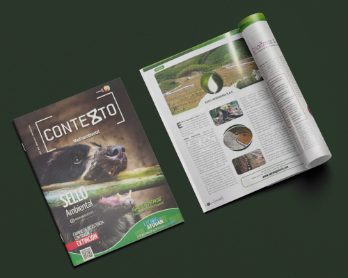 Revista